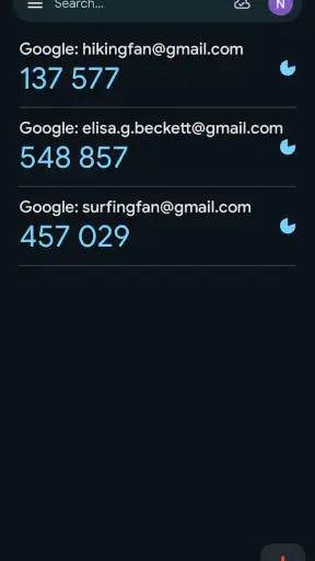 Google Autentisering screenshot