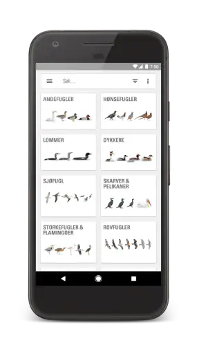 Gyldendals Store Fugleguide screenshot