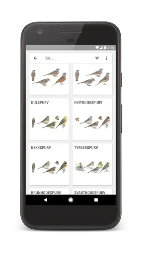 Gyldendals Store Fugleguide screenshot