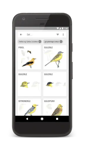 Gyldendals Store Fugleguide screenshot