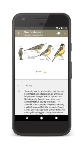 Gyldendals Store Fugleguide screenshot