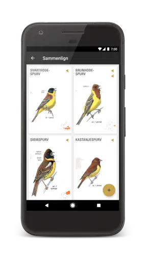 Gyldendals Store Fugleguide screenshot