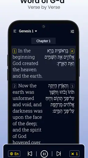 Hebrew Bible Study Translation screenshot
