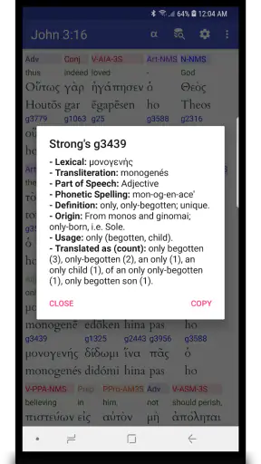 Hebrew/Greek Interlinear Bible screenshot
