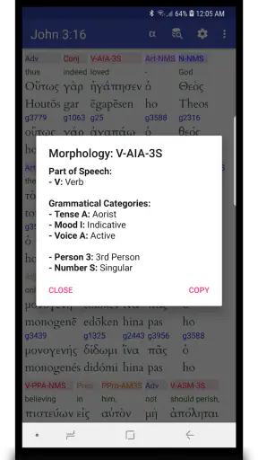 Hebrew/Greek Interlinear Bible screenshot
