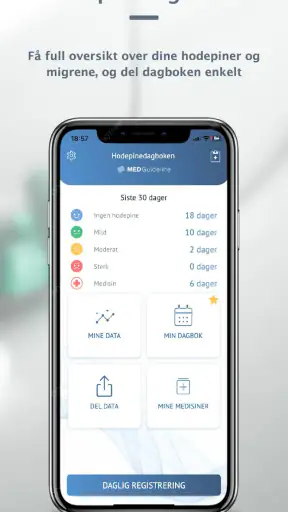 Hodepinedagboken screenshot