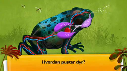 Hvordan fungerer dyr? screenshot