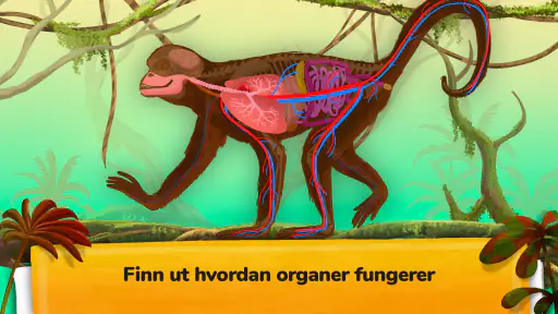 Hvordan fungerer dyr? screenshot