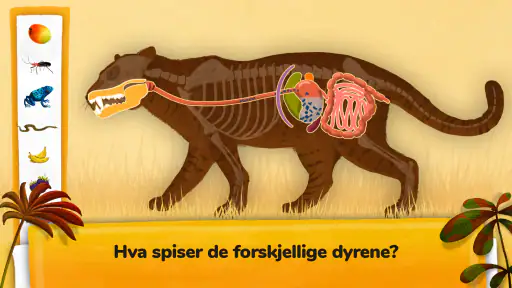 Hvordan fungerer dyr? screenshot