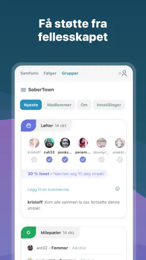 I Am Sober - Jeg er edru screenshot