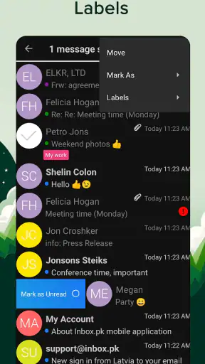 Inbox.pk email screenshot