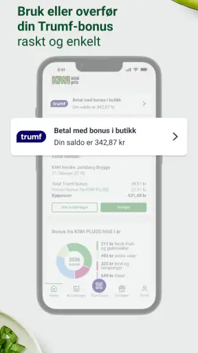 KIWI PLUSS screenshot