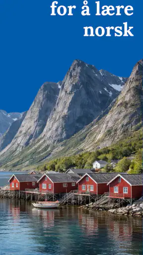 Lær norsk - nybegynnere screenshot