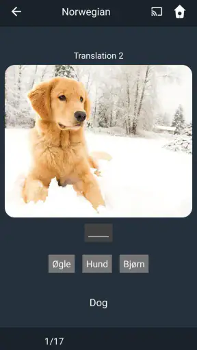 Lær norsk på dansk screenshot