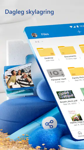 Microsoft OneDrive screenshot