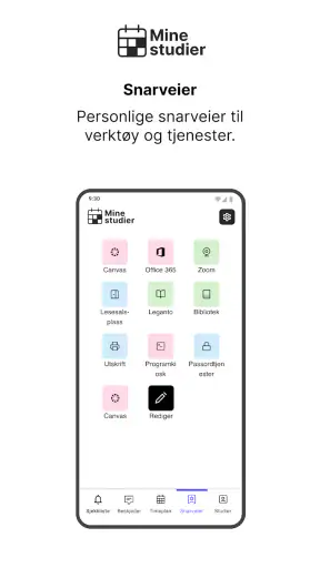 Mine studier screenshot
