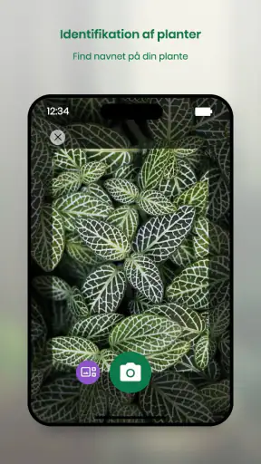 Monstera - Planteguide screenshot