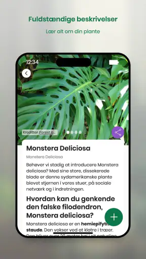 Monstera - Planteguide screenshot