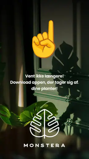 Monstera - Planteguide screenshot