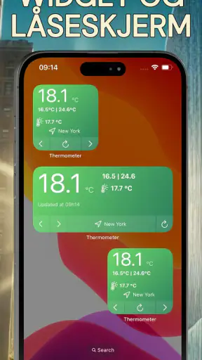Nøyaktig romtermometer screenshot