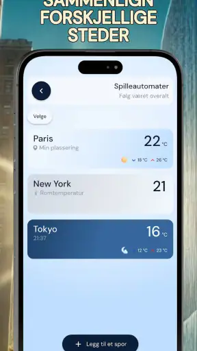 Nøyaktig romtermometer screenshot