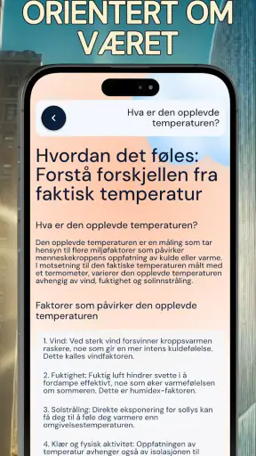 Nøyaktig romtermometer screenshot