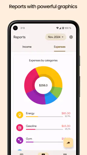 Økonomi Pro screenshot