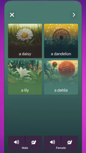 OkyDoky - Språkkurs screenshot
