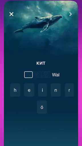 OkyDoky - Språkkurs screenshot