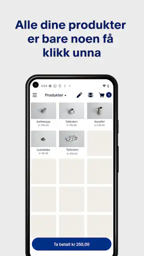 PayPal POS screenshot