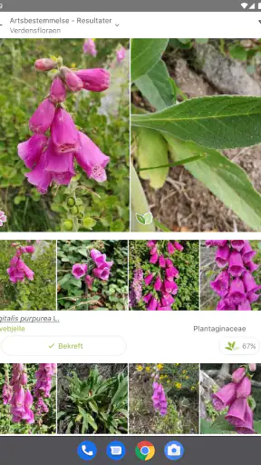 PlantNet plantegjenkjenning screenshot