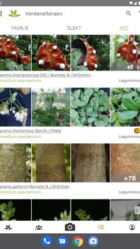 PlantNet plantegjenkjenning screenshot