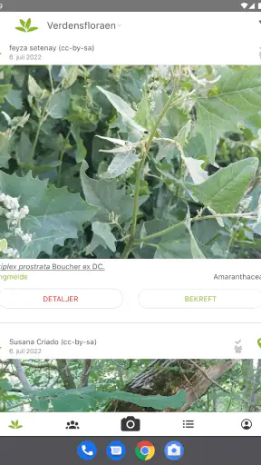 PlantNet plantegjenkjenning screenshot
