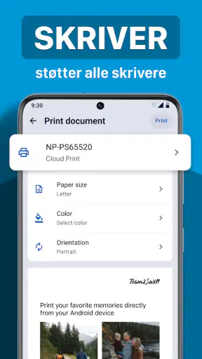 Printer screenshot