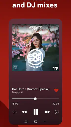 Radio Javan screenshot
