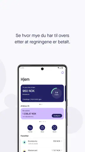 Sbanken screenshot