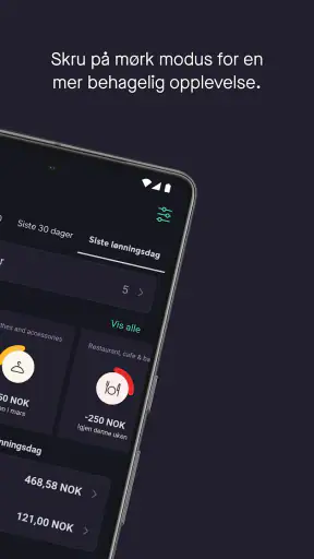Sbanken screenshot