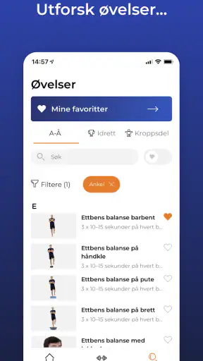SKADEFRI screenshot