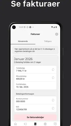 Spendwise screenshot