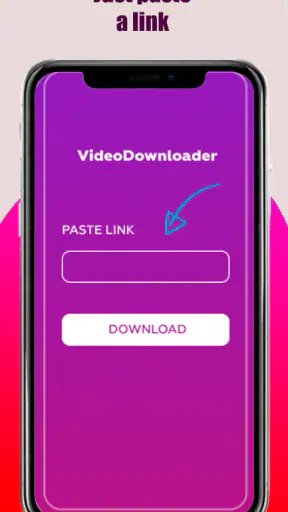 SSS Video Downloader screenshot