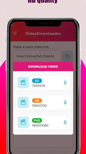 SSS Video Downloader screenshot