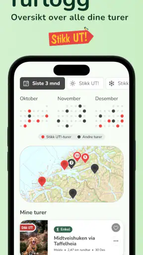Stikk UT! screenshot