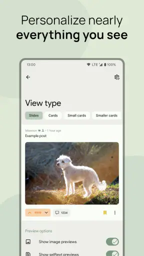 Sync for Lemmy screenshot