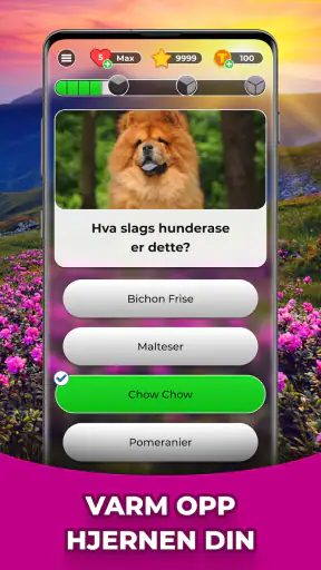 Triviascapes: quiz og IQ-test screenshot
