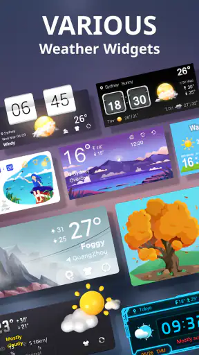 Vær Live screenshot