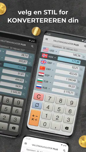 Valutakalkulator Pluss screenshot
