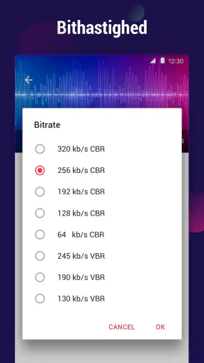 Video til MP3 Konverter screenshot