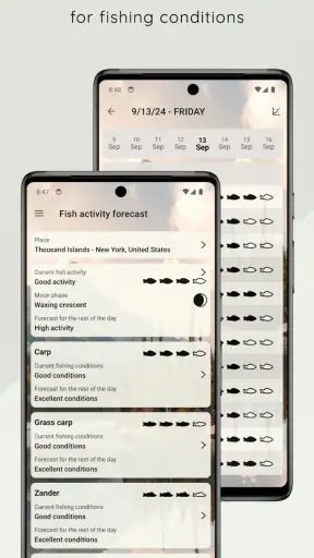 When to Fish - Fishing App screenshot