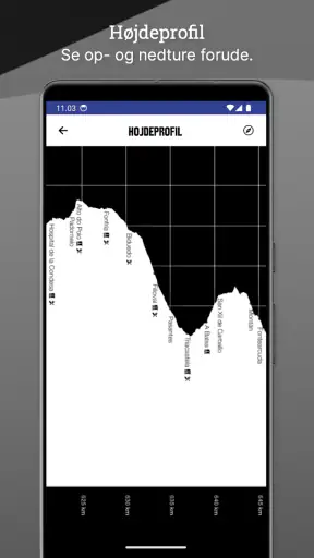 Wise Pilgrim Camino Francés screenshot