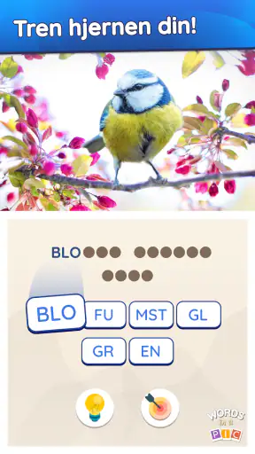 Words in a Pic - Norsk screenshot